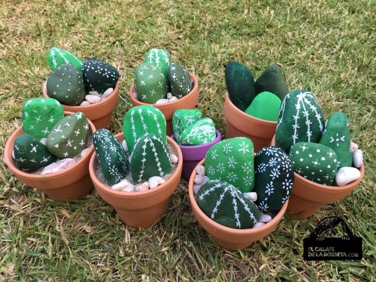 Cactus con piedras